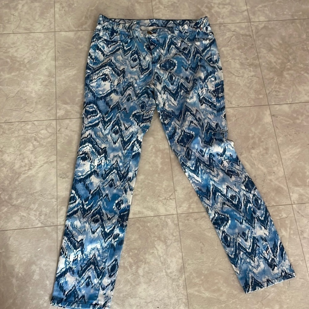 ANTHRO Blue Birdcage Pants 30